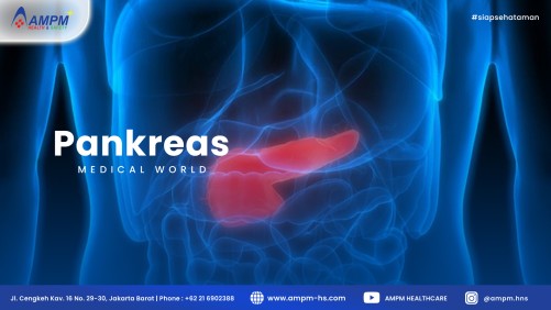 Pankreas