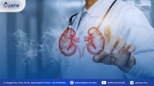 Faktor Yang Dapat Meningkatkan Risiko Pembentukan Batu Ginjal